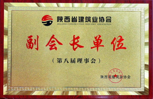 1766460353722652.png 陜建協(xié)副會長單位-有色建設(第八屆理事會)_副本_副本.png